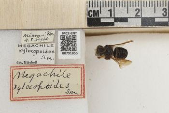 Media type: image;   Entomology 791855 Aspect: Labels